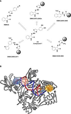 5-Nitro-3-(2-(4-phenylthiazol-2-yl)hydrazineylidene)indolin-2-one derivatives inhibit HIV-1 replication by a multitarget mechanism of action